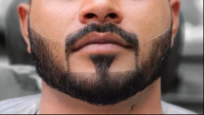 Anchor Beard