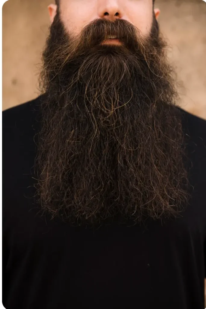 Long beard 