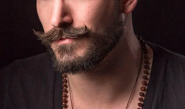 Samurai Mustache and Beard Combo