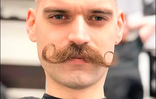Classic Handlebar Mustache