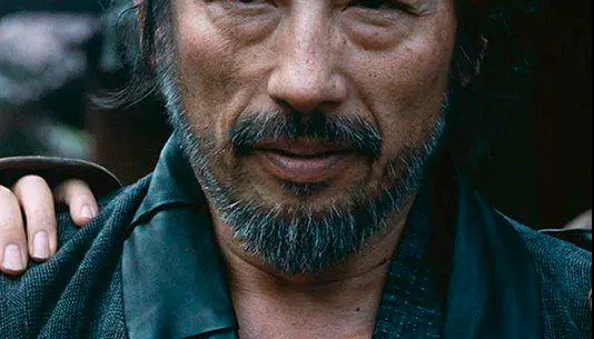 Rounded Samurai Beard