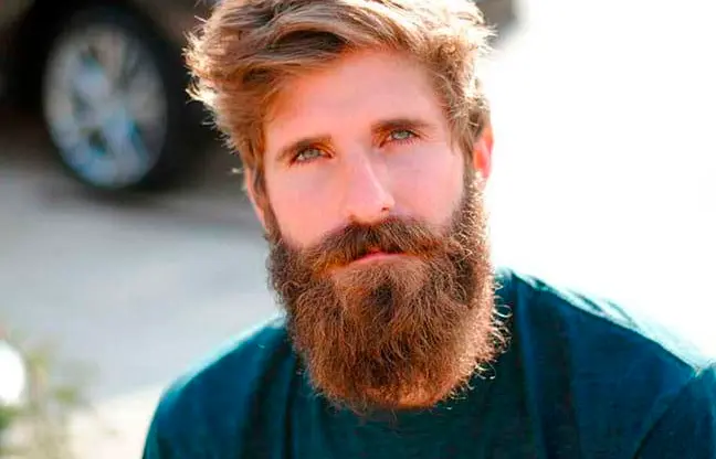 Garibaldi Beard