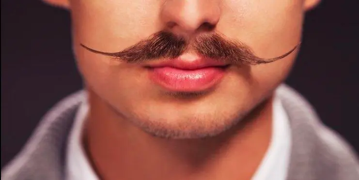 Handlebar With Curled Tips Only