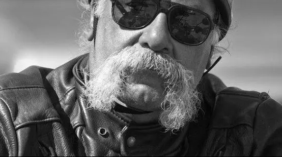 Horseshoe Mustache Combination