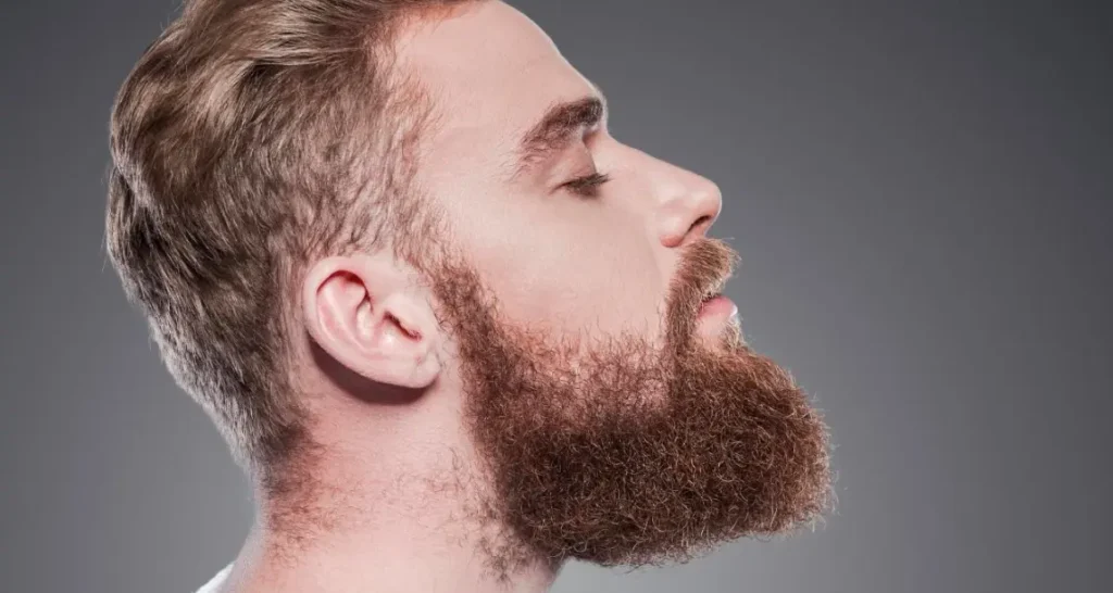 Classic Full Beard