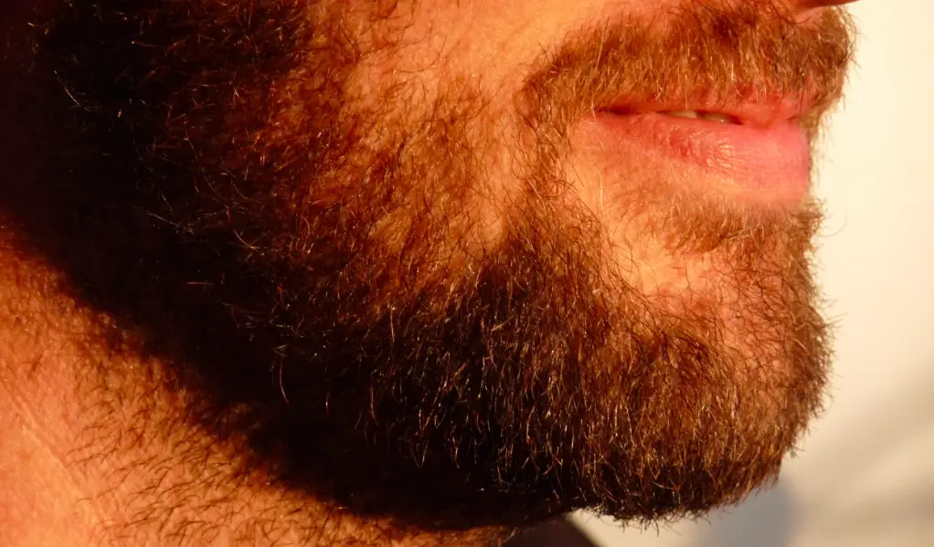 Thick, Coarse Hair