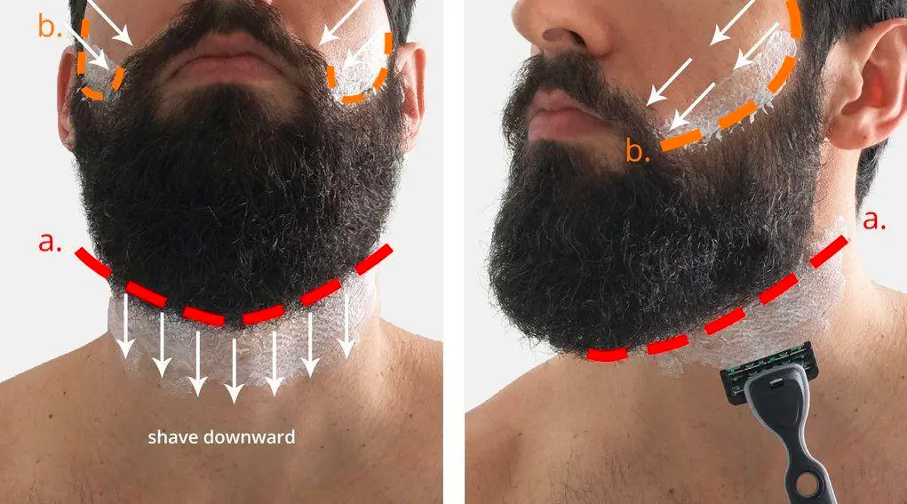 The Neckline
