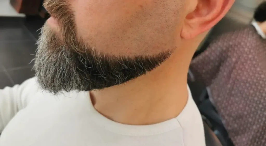 Balbo Beard