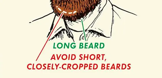 Long Beard With Volume at the Chin