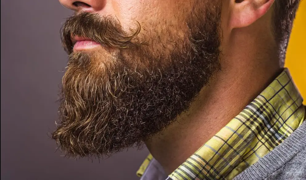 Van Dyke Beard (Widened Version)