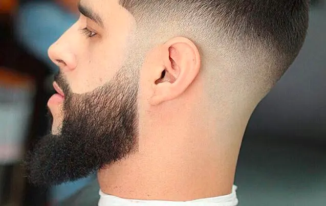 Mid Fade Beard