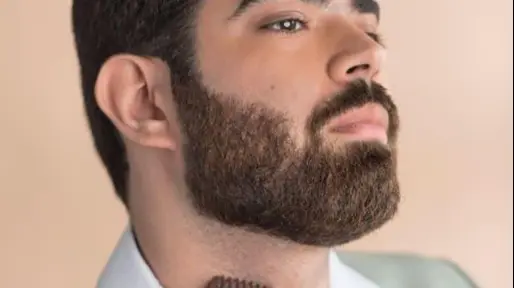 The Corporate Beard