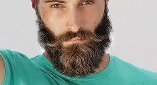 Verdi Beard
