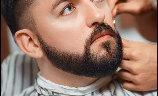 Short Boxed Beard