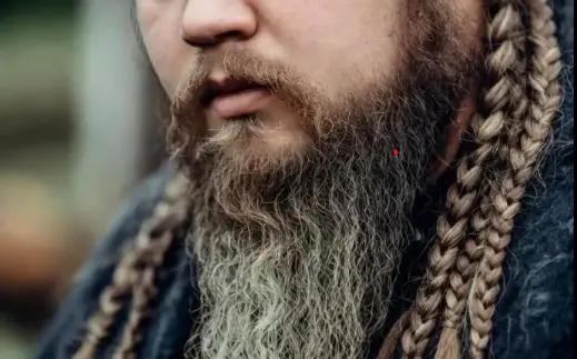 The Viking Beard