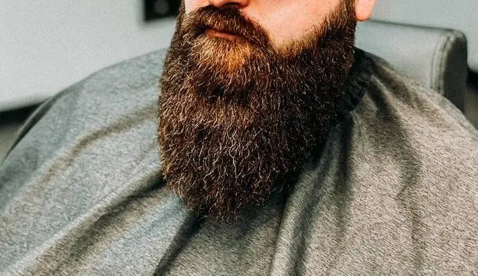 The Garibaldi Beard