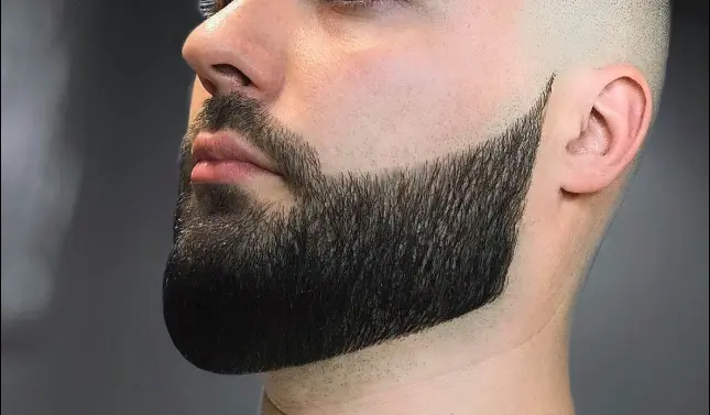 Low Fade with Full Beard