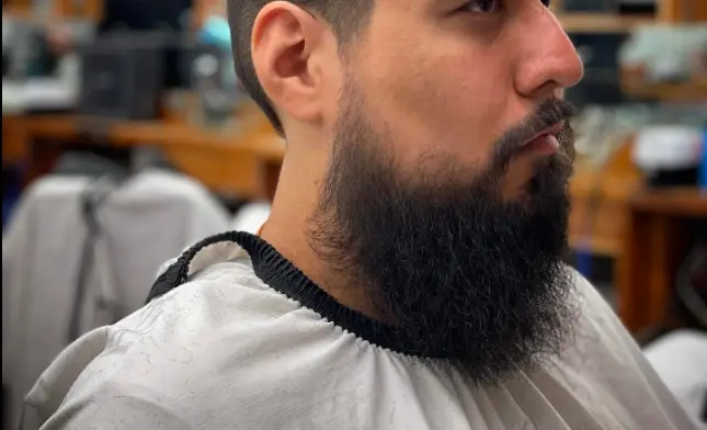 Mid Fade with Full Beard