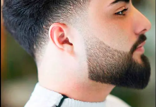 Mid Fade Beard