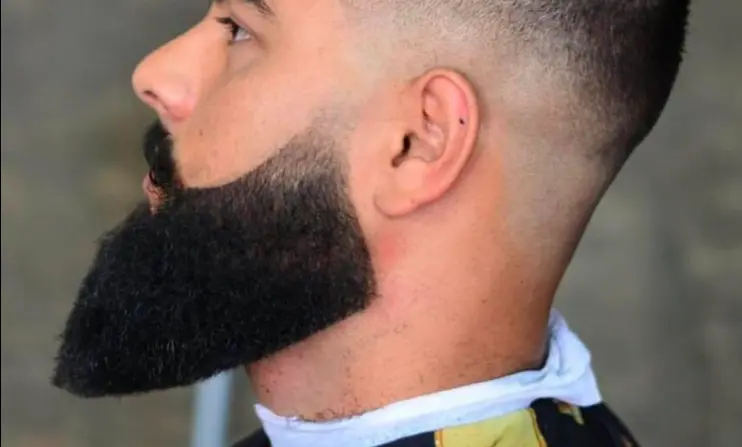 Drop Fade Beard