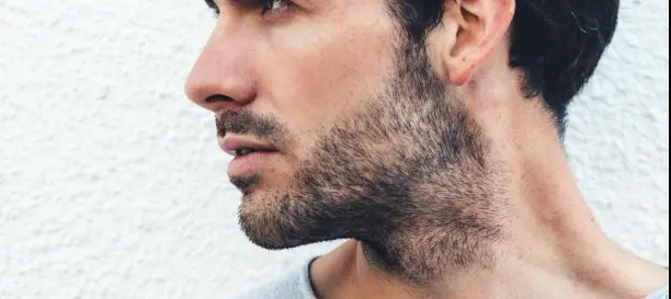  Stubble