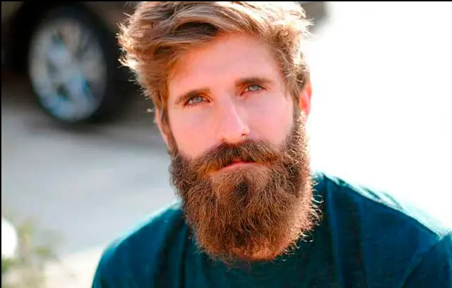 Long Hair with a Garibaldi Beard