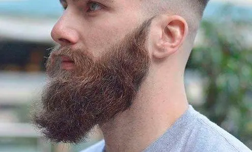 Modern Ducktail (Fade-Paired)