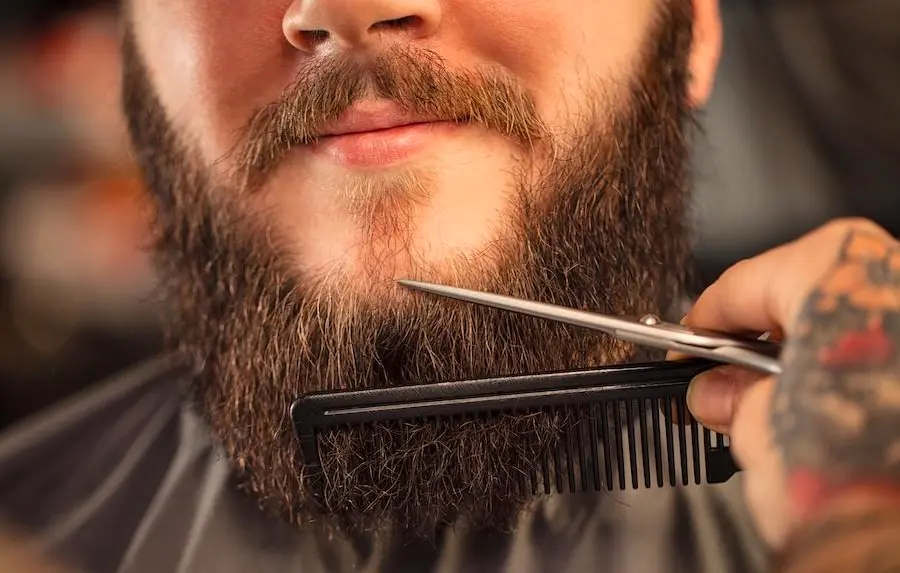 Long Ducktail Beard