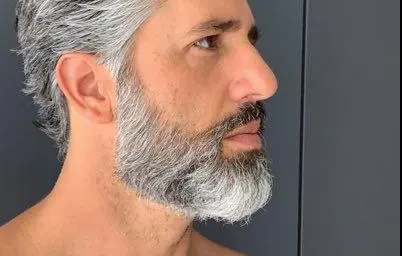 Short Boxed Grey Beard