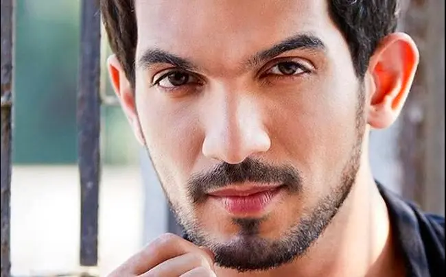 Stubble Beard