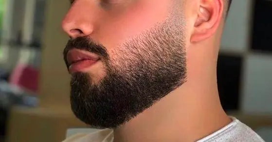 Tightly Trimmed Full Beard