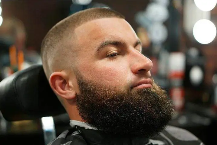 Full Jaw Beard (No Mustache)