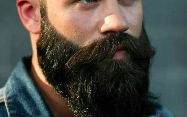 Hipster Beard