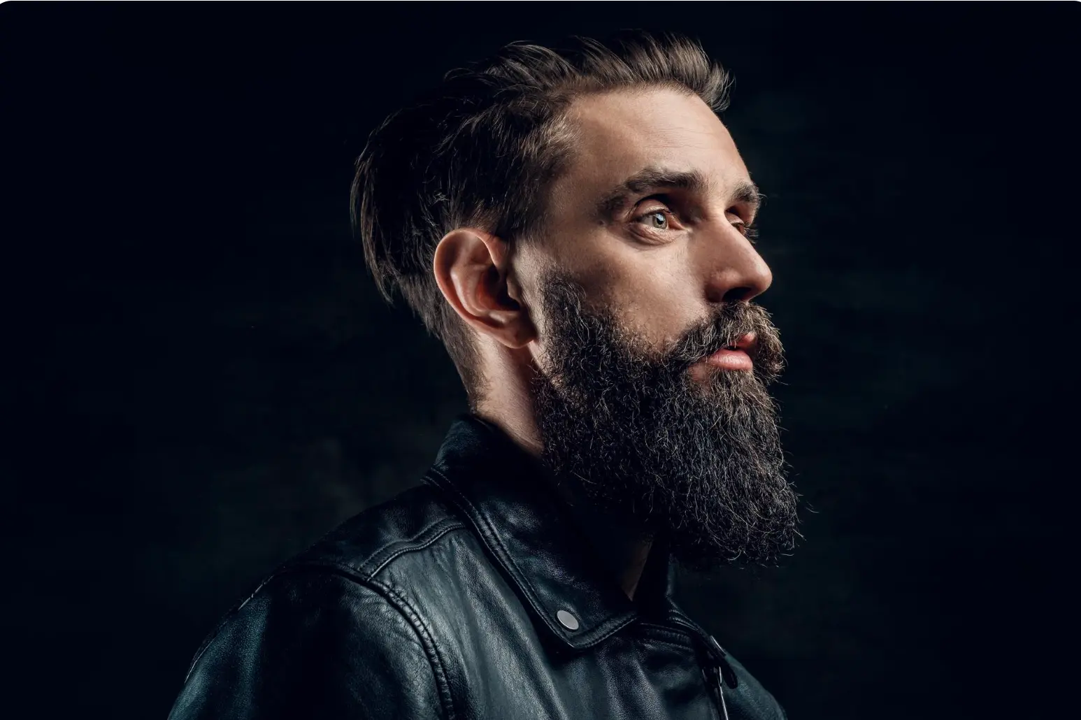 Beard Styles