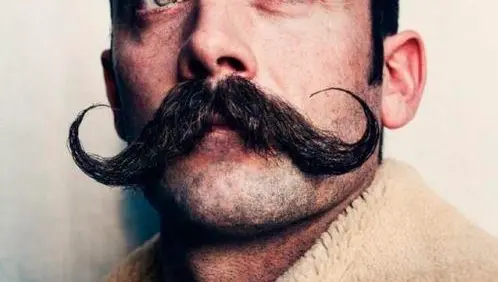 Handlebar Mustache