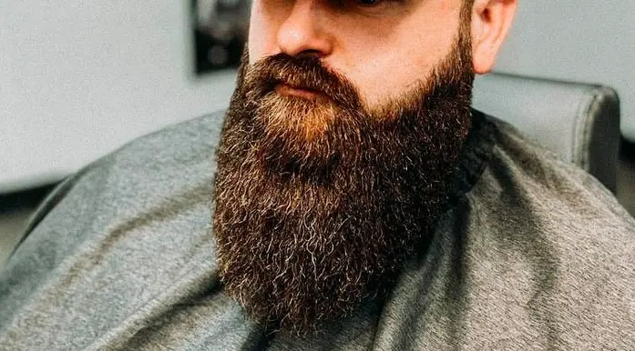 Garibaldi Beard