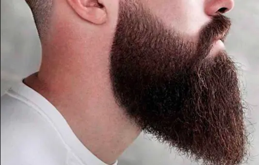 High Fade with Beard