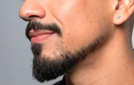 Faded Beardstache