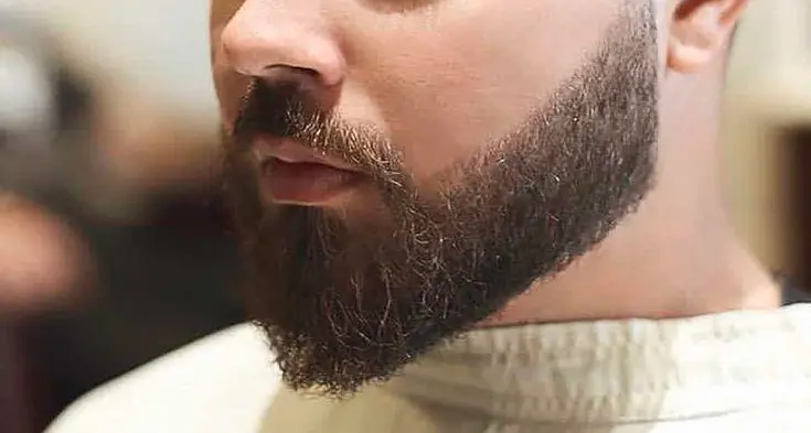 Ducktail Beard