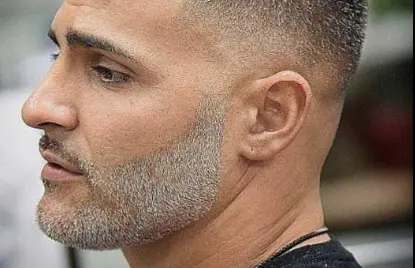 Salt and Pepper Beard